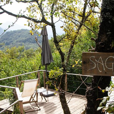 Hoopoe Glamping Hotell Virpazar Exteriör bild