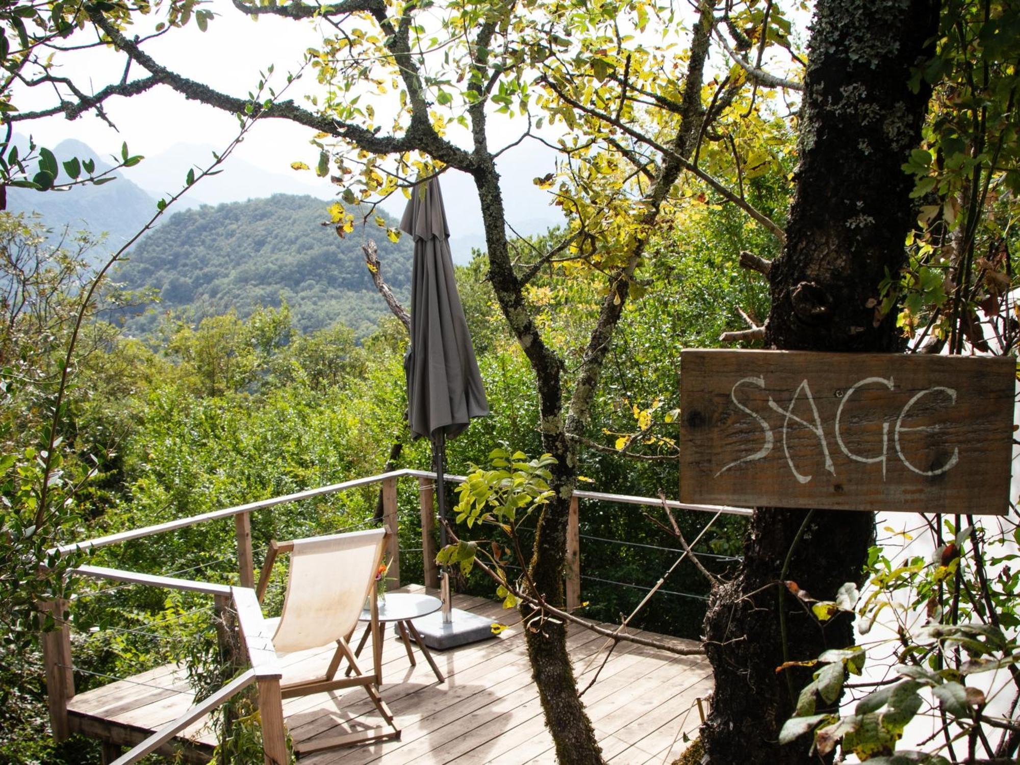 Hoopoe Glamping Hotell Virpazar Exteriör bild
