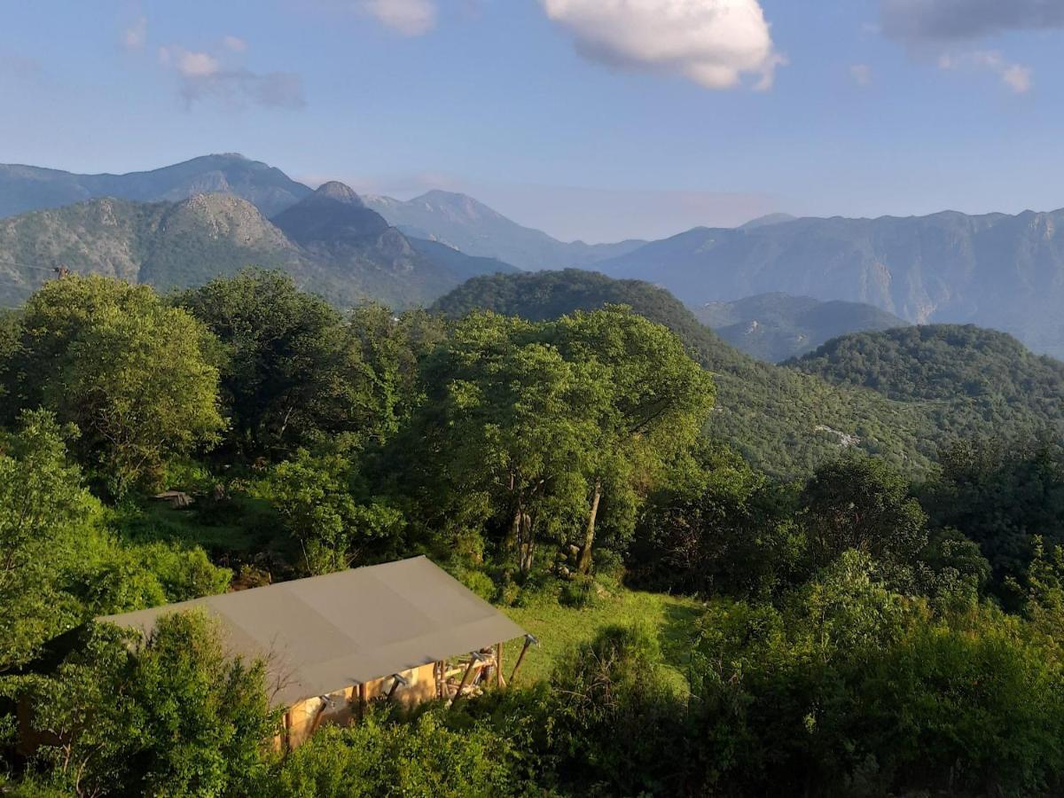 Hoopoe Glamping Hotell Virpazar Exteriör bild